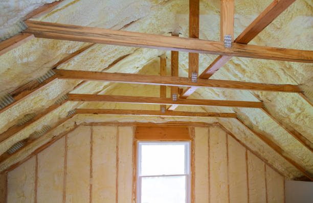 Insulation Inspection Services in New Carrollton, MD