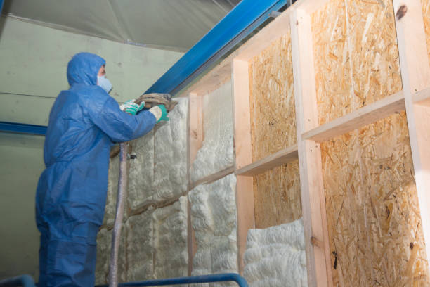 Best Attic Insulation Installation  in New Carrollton, MD
